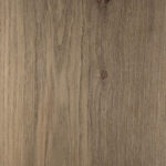 Fossil Elm